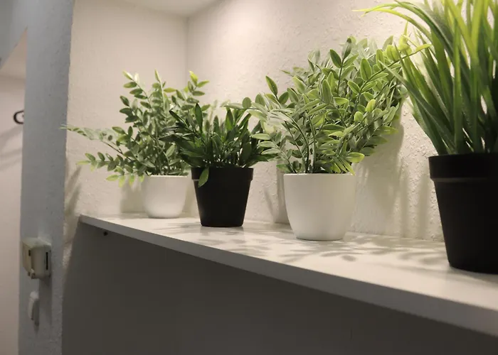 Berliner Str 139 Appartement